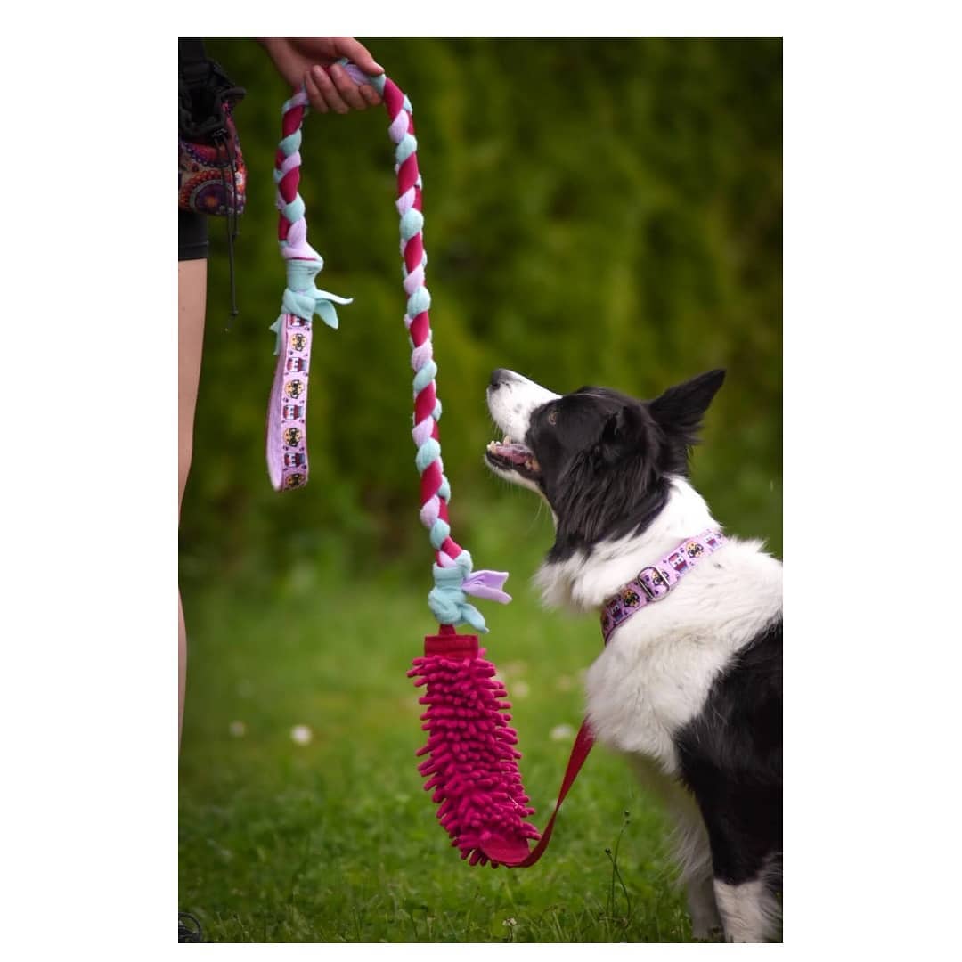 agility voditko s mopem vencimstylove